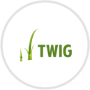 Twig